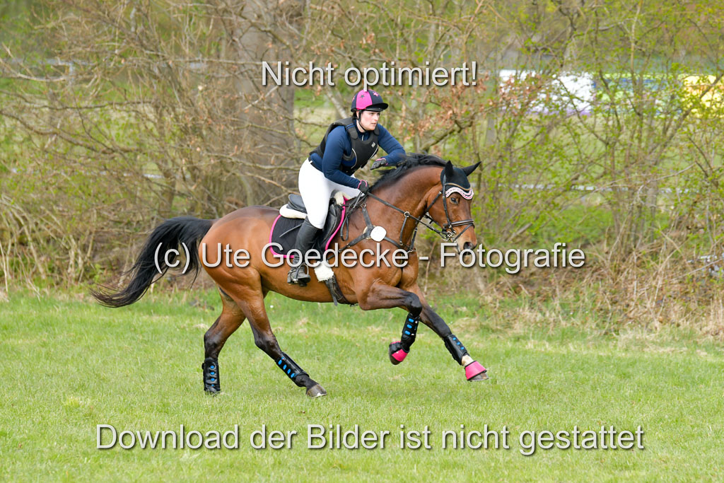 NG Eventing Elmenhorst  21.4.22 | Frank, Sarah - Gloriuos Date_04 