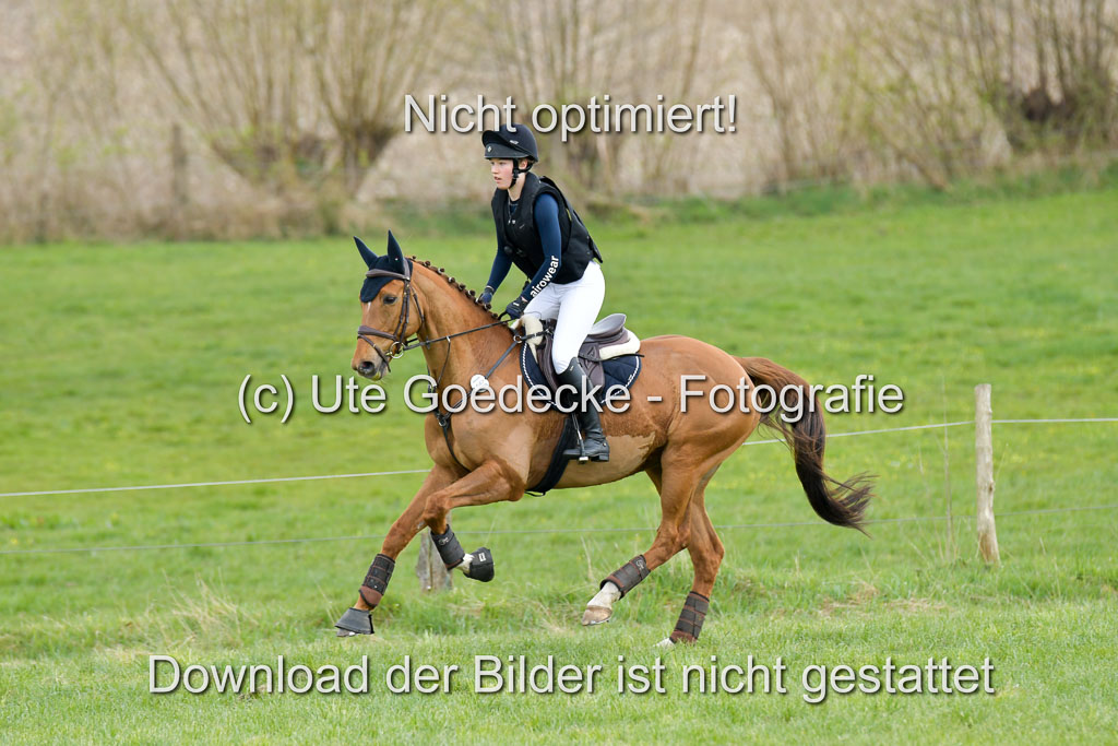 NG Eventing Elmenhorst  21.4.22 | Hayessen, Justina - I Follow 