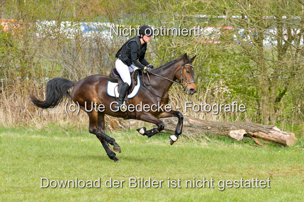 NG Eventing Elmenhorst  21.4.22 | Hoppe, Sonja - Uma_06 