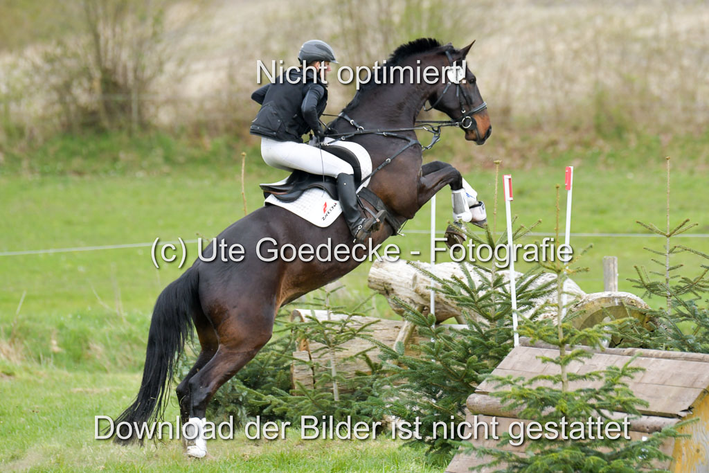 NG Eventing Elmenhorst  21.4.22 | Jürgensen, Sünje - nektons de Niro_03 