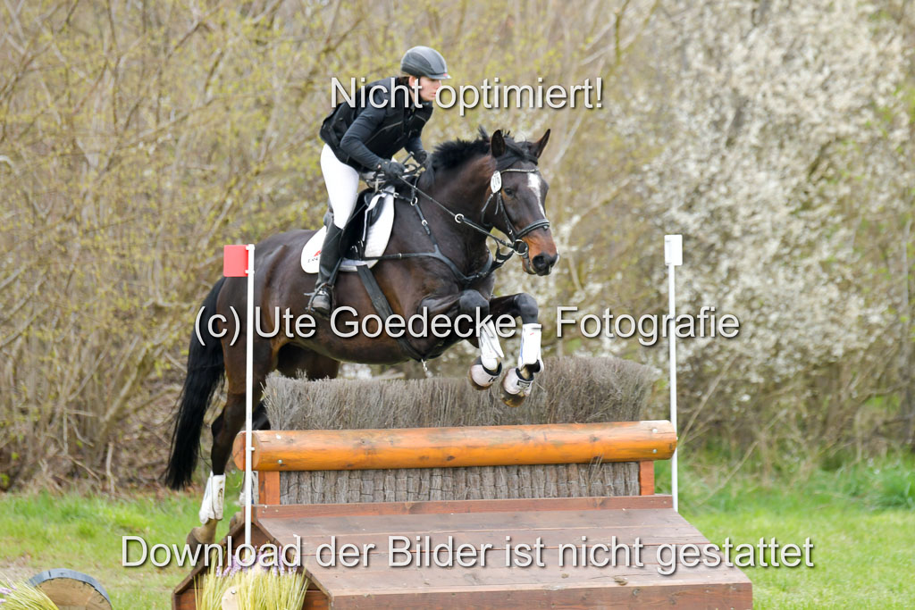 NG Eventing Elmenhorst  21.4.22 | Jürgensen, Sünje - nektons de Niro_06 