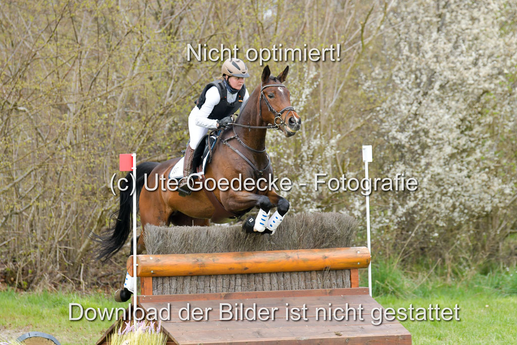 NG Eventing Elmenhorst  21.4.22 | Kuhn , Tanja - Thats Luck_06 