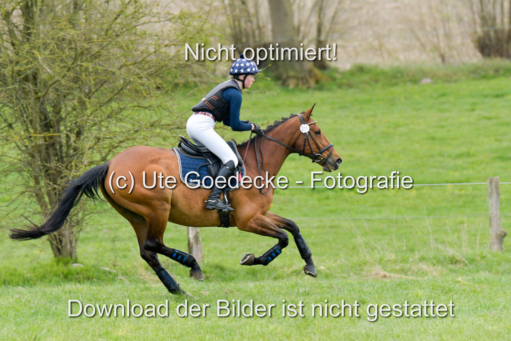 NG Eventing Elmenhorst  21.4.22 | Kühl, Annelie - Amore di Topo_03 