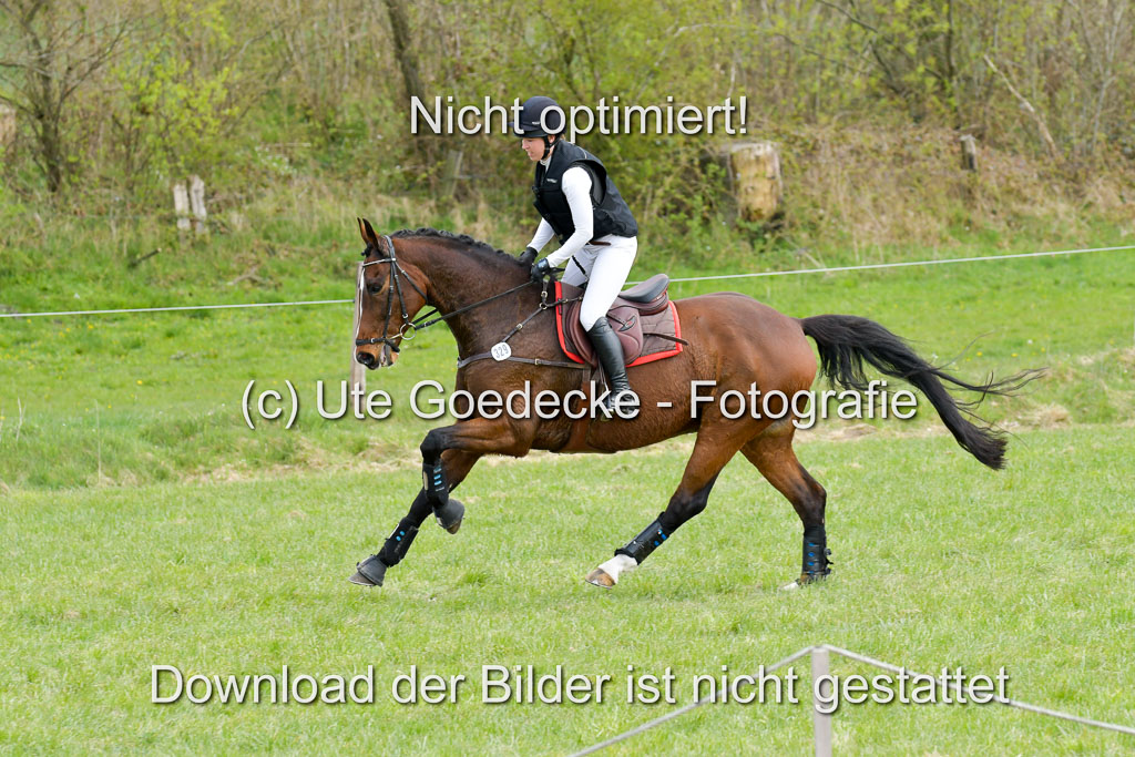 NG Eventing Elmenhorst  21.4.22 | Labes, Sabrina -  Sir Schelly_02 