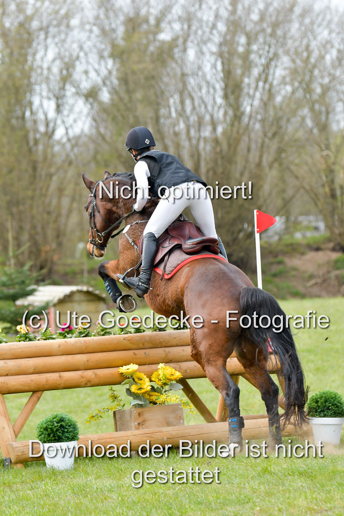 NG Eventing Elmenhorst  21.4.22 | Labes, Sabrina -  Sir Schelly_03 