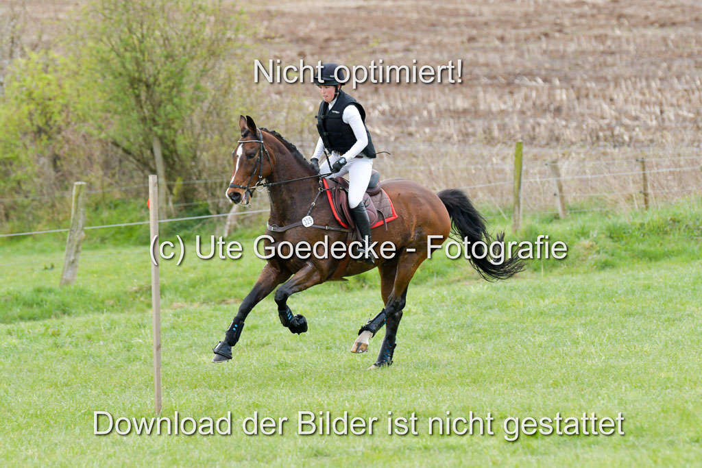 NG Eventing Elmenhorst  21.4.22 | Labes, Sabrina -  Sir Schelly_10 