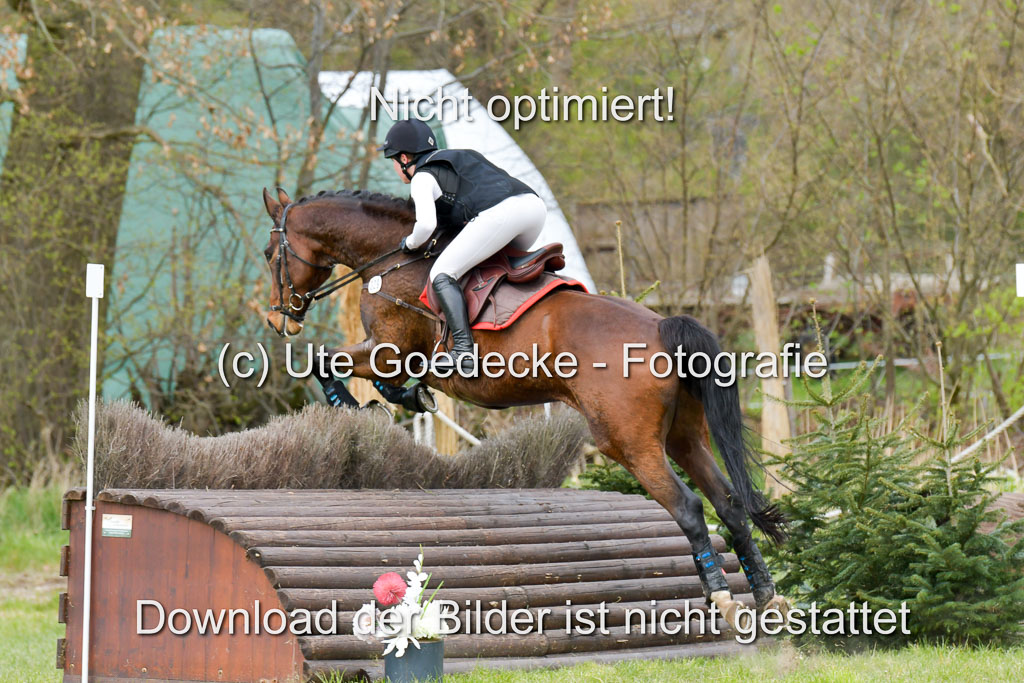 NG Eventing Elmenhorst  21.4.22 | Labes, Sabrina -  Sir Schelly_12 