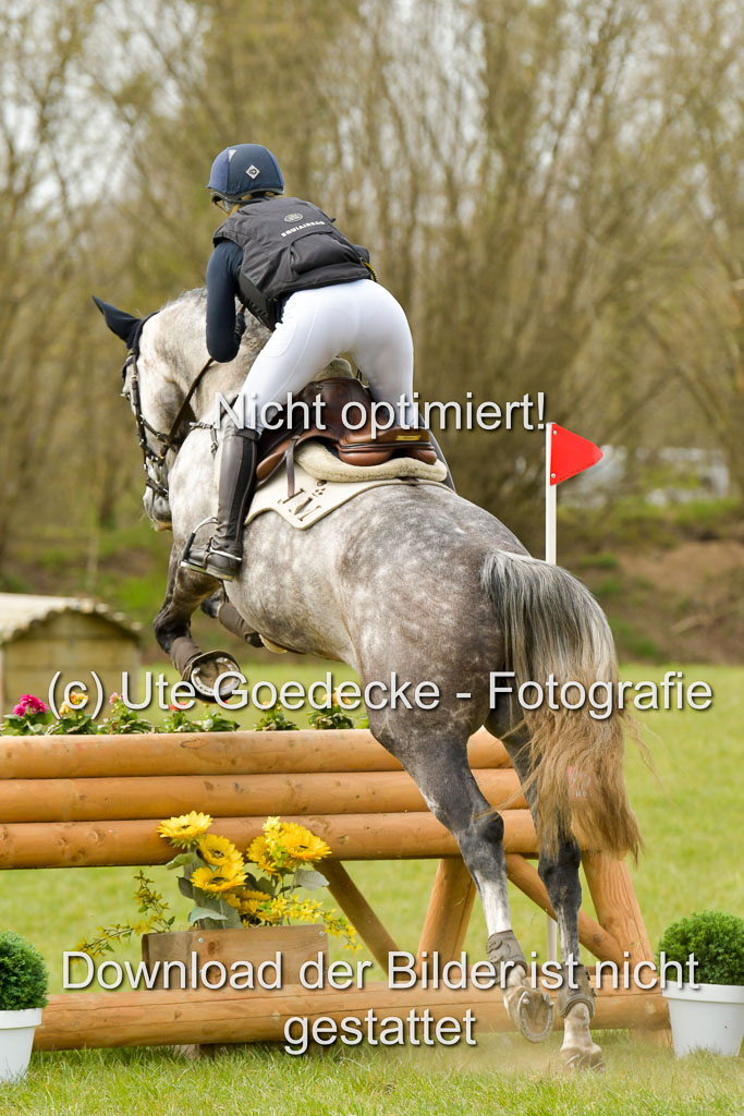 NG Eventing Elmenhorst  21.4.22 | Mestern, Julia - Havingagoodtime 