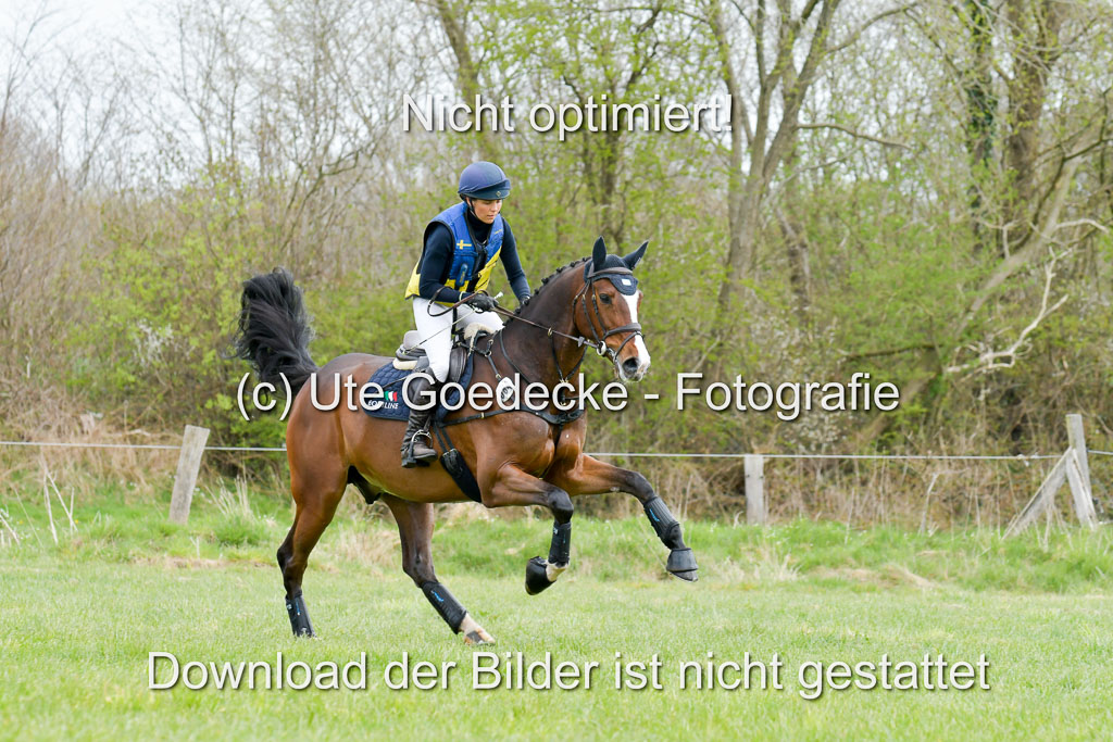 NG Eventing Elmenhorst  21.4.22 | Romeike, Louise - Commando_1 