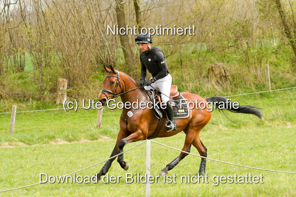 NG Eventing Elmenhorst  21.4.22 | Sarközi, Csaba - Ossia RH AA_03 