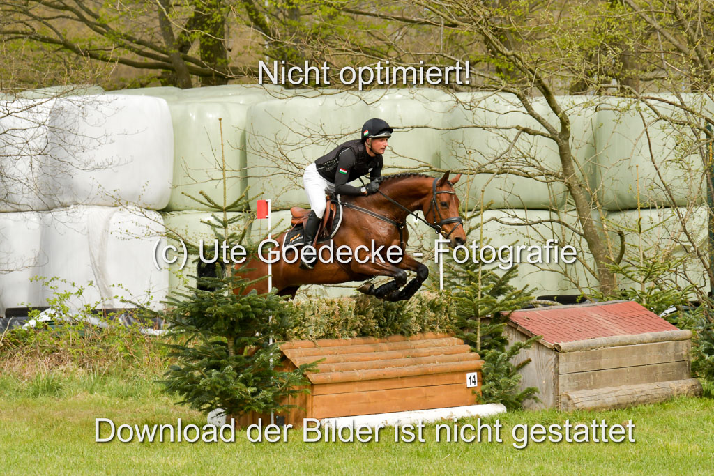 NG Eventing Elmenhorst  21.4.22 | Sarközi, Csaba - Ossia RH AA_05 