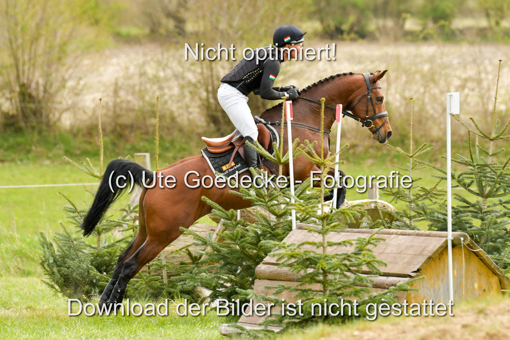 NG Eventing Elmenhorst  21.4.22 | Sarközi, Csaba - Ossia RH AA_08 