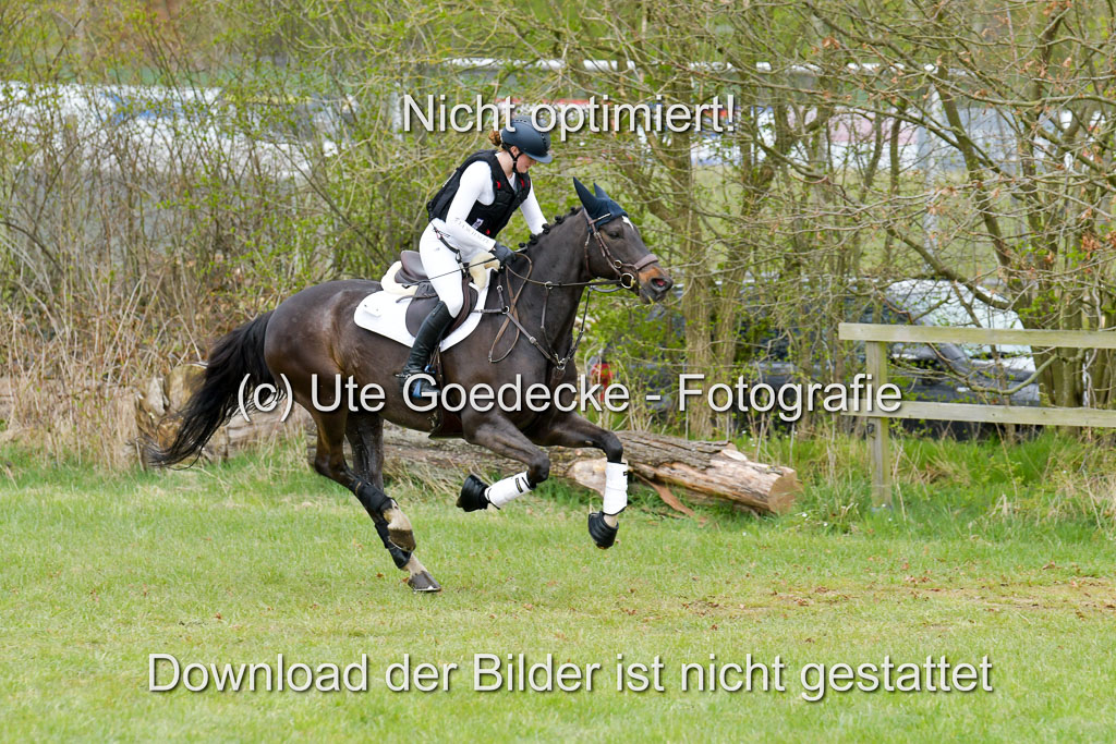 NG Eventing Elmenhorst 21.4.22 | Schaepe, Freya - Basket_03
