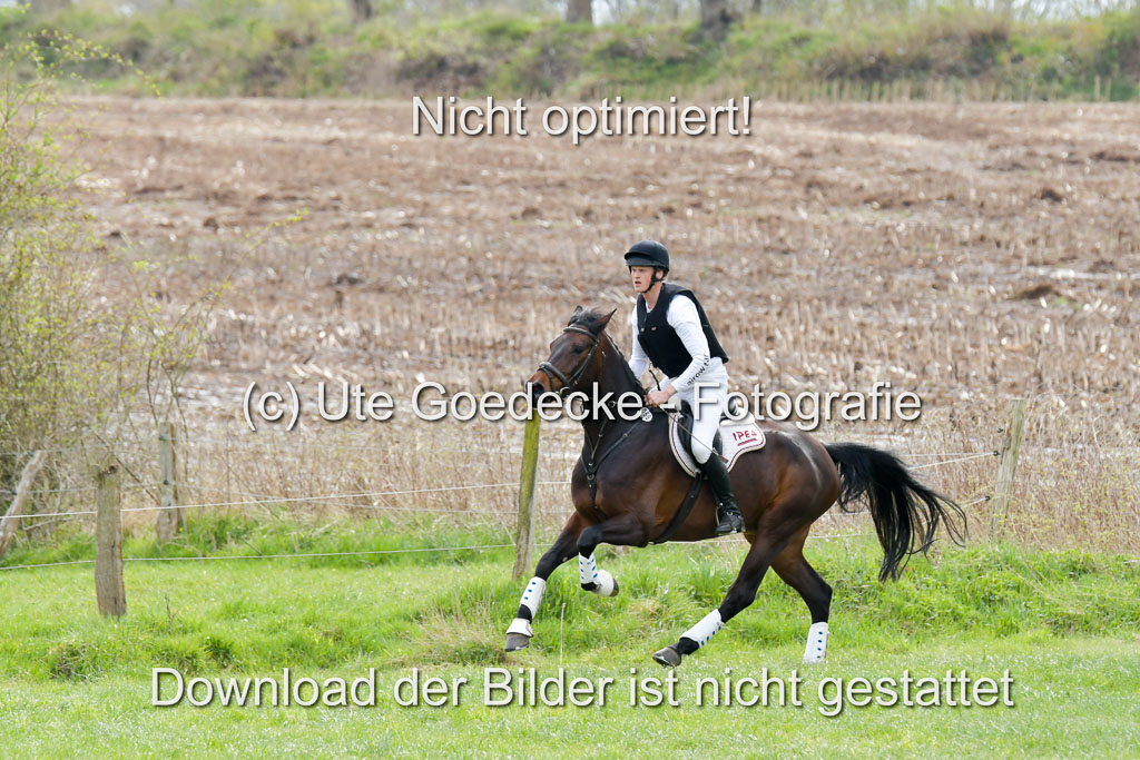 NG Eventing Elmenhorst 21.4.22 | Sponagel, Dr Maximilian - Charly Brown