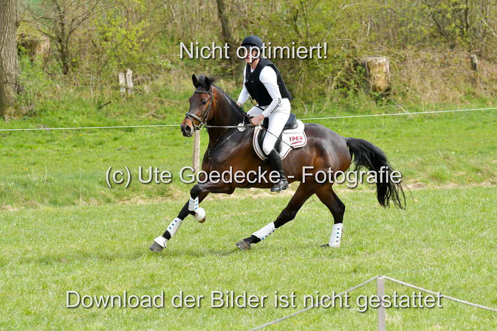 NG Eventing Elmenhorst 21.4.22 | Sponagel, Dr Maximilian - Charly Brown_03