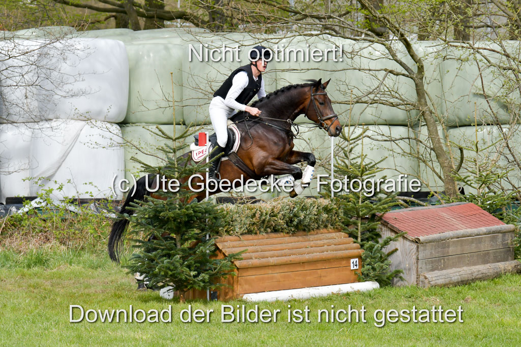 NG Eventing Elmenhorst 21.4.22 | Sponagel, Dr Maximilian - Charly Brown_09
