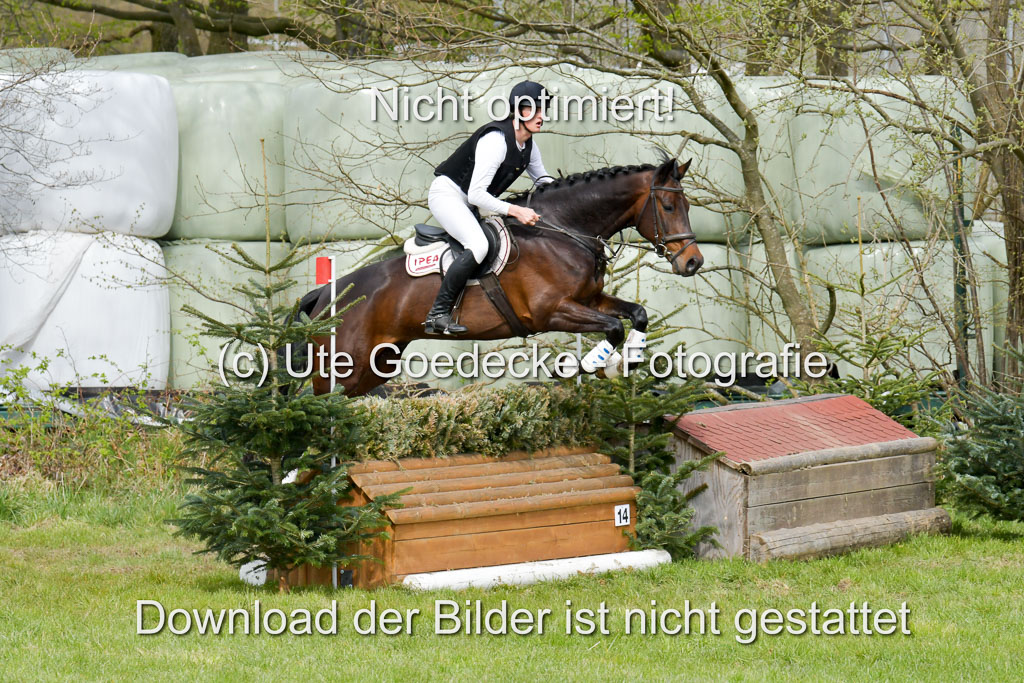 NG Eventing Elmenhorst  21.4.22 | Sponagel, Dr Maximilian - Charly Brown_10 