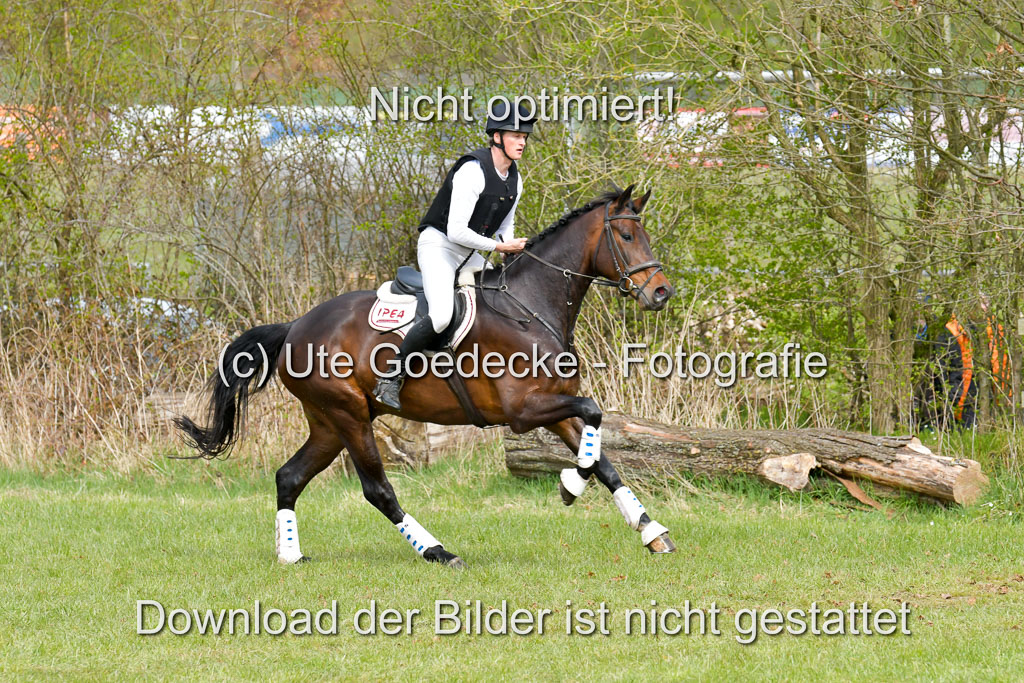 NG Eventing Elmenhorst 21.4.22 | Sponagel, Dr Maximilian - Charly Brown_11