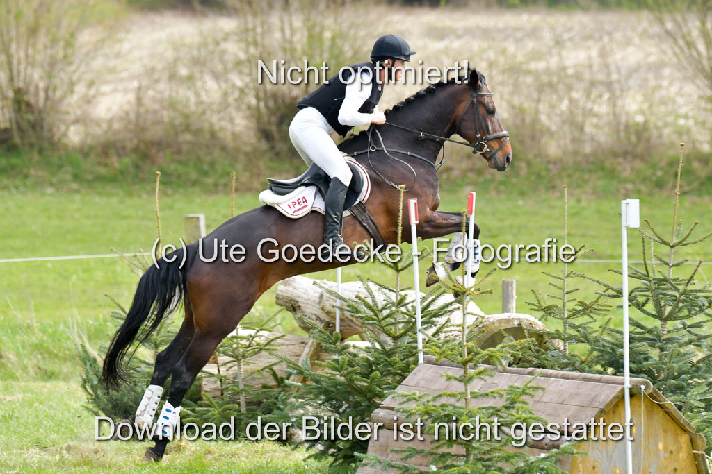 NG Eventing Elmenhorst  21.4.22 | Sponagel, Dr Maximilian - Charly Brown_12 