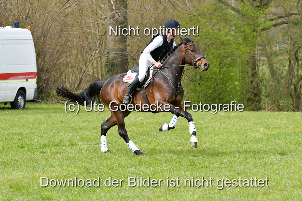 NG Eventing Elmenhorst 21.4.22 | Sponagel, Dr Maximilian - Charly Brown_17