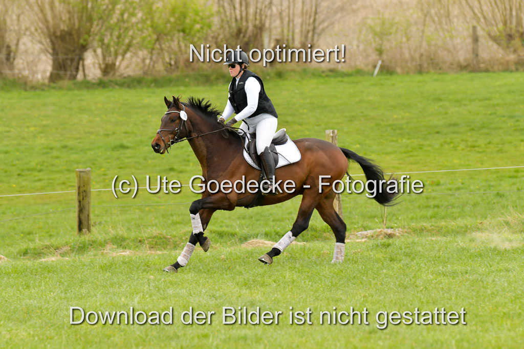 NG Eventing Elmenhorst  21.4.22 | Stöhr, Stella Maria - Catwalker 