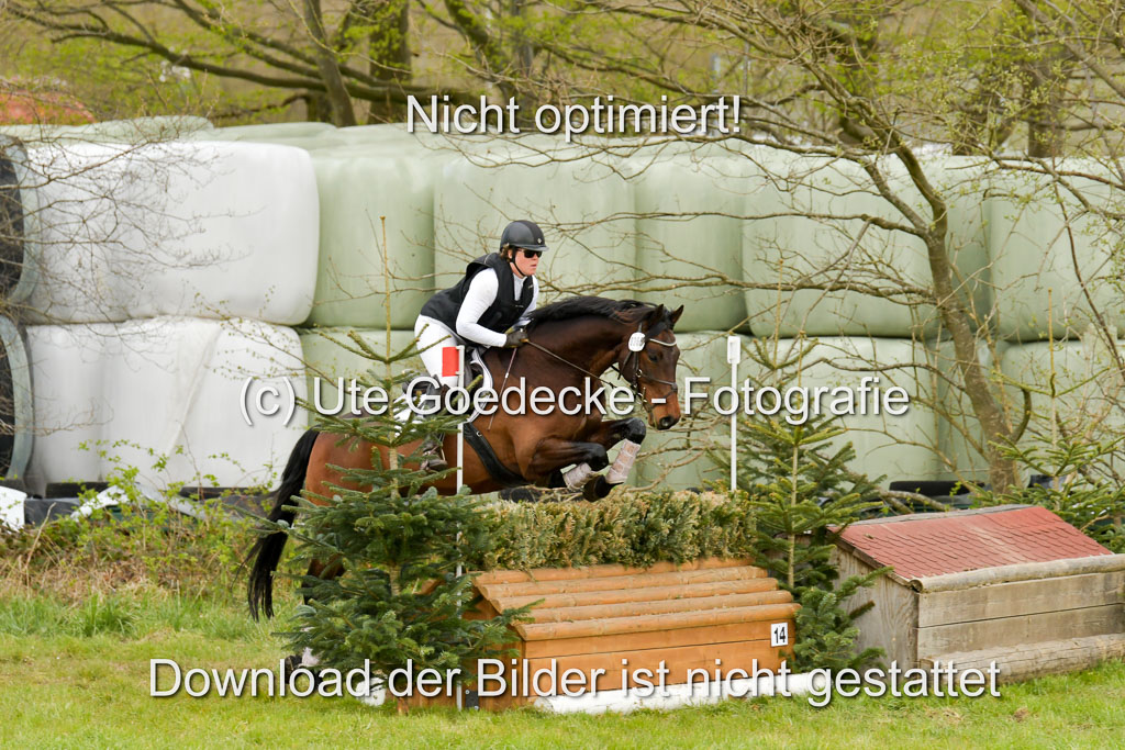 NG Eventing Elmenhorst  21.4.22 | Stöhr, Stella Maria - Catwalker_04 