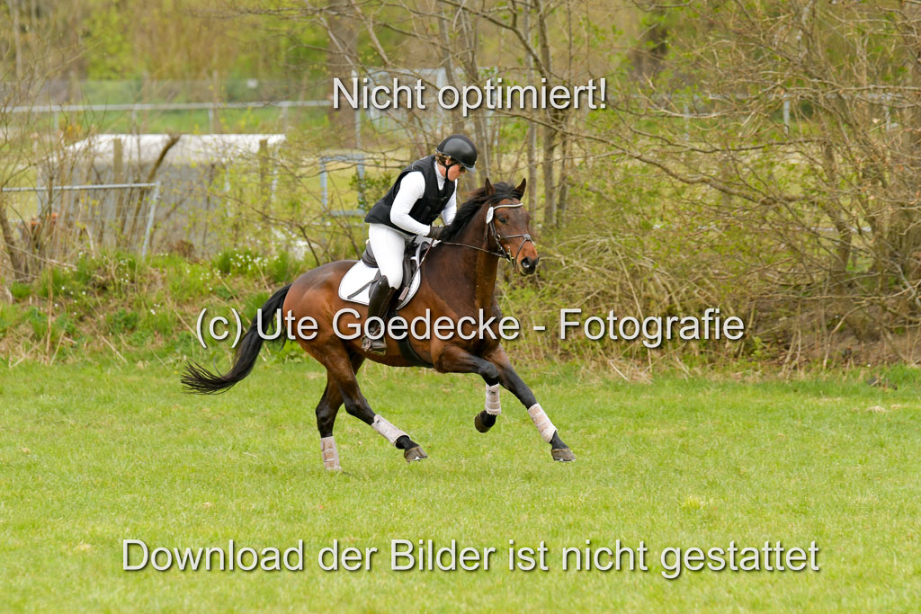 NG Eventing Elmenhorst  21.4.22 | Stöhr, Stella Maria - Catwalker_05 