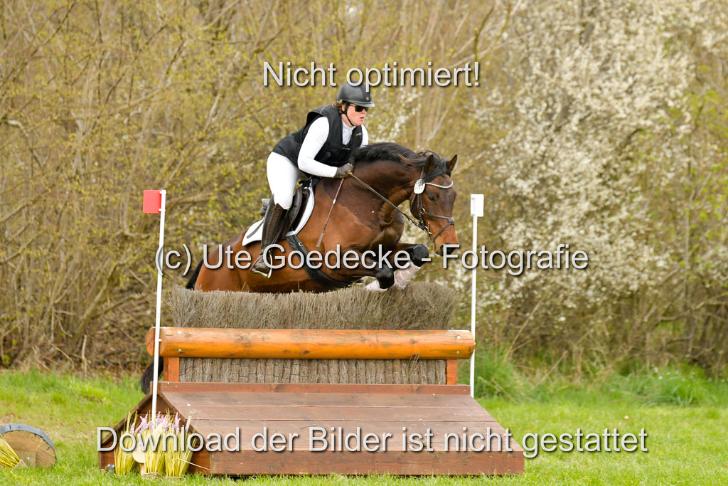 NG Eventing Elmenhorst 21.4.22 | Stöhr, Stella Maria - Catwalker_06