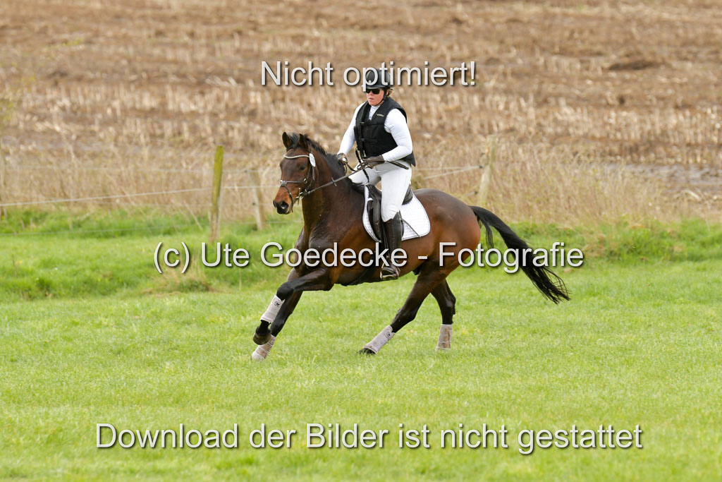 NG Eventing Elmenhorst  21.4.22 | Stöhr, Stella Maria - Catwalker_08 