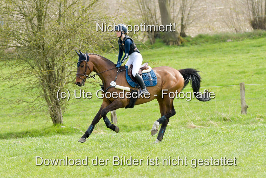 NG Eventing Elmenhorst  21.4.22 | Wiechmann, Julia - Sewarion 