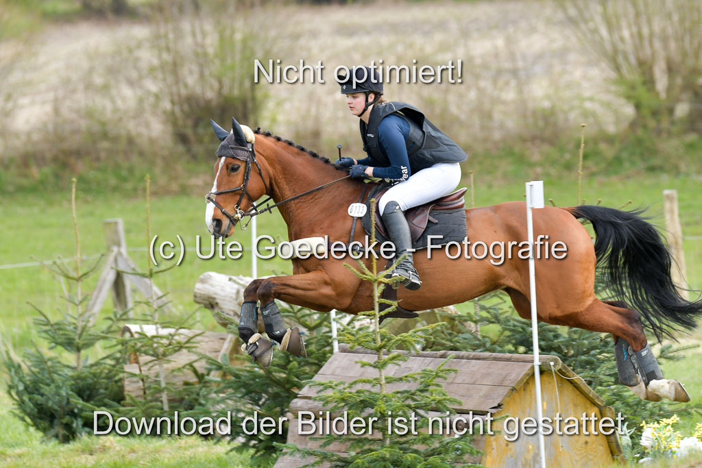 NG Eventing Elmenhorst  21.4.22 | grüllich, Henna - Elton_01 