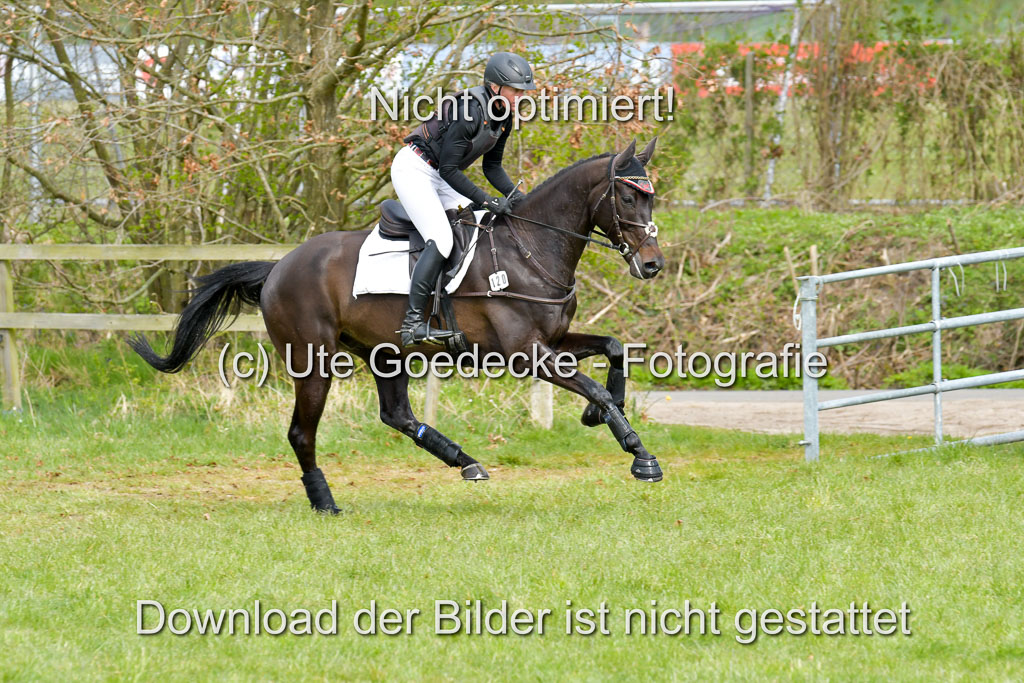 NG Eventing Elmenhorst  21.4.22 | jankowski, Beeke - Didgeridoo_3 