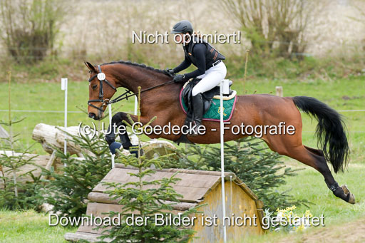 NG Eventing Elmenhorst  21.4.22 | Fleischer, Vanessa - Half past seven_02 