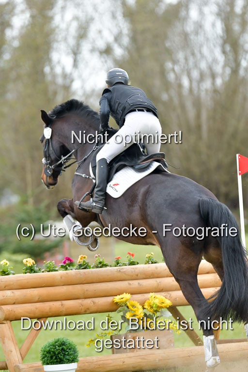 NG Eventing Elmenhorst  21.4.22 | Jürgensen, Sünje - nektons de Niro_01 