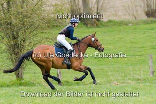 NG Eventing Elmenhorst  21.4.22 | Kühl, Annelie - Amore di Topo_03 