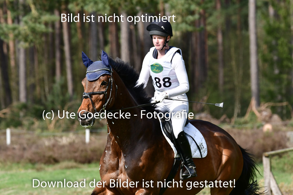 Luhmühlen VA  24.4.22 | 24-4-22 VA Luhmühlen_0809 