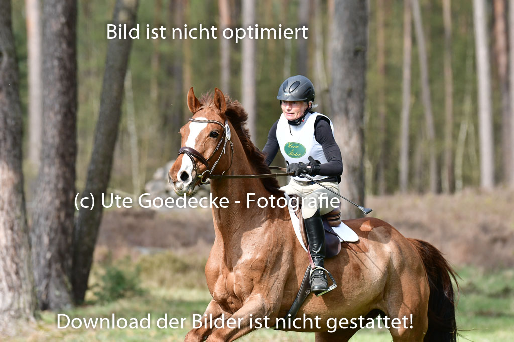 Luhmühlen VA  24.4.22 | 24-4-22 VA Luhmühlen_0824 