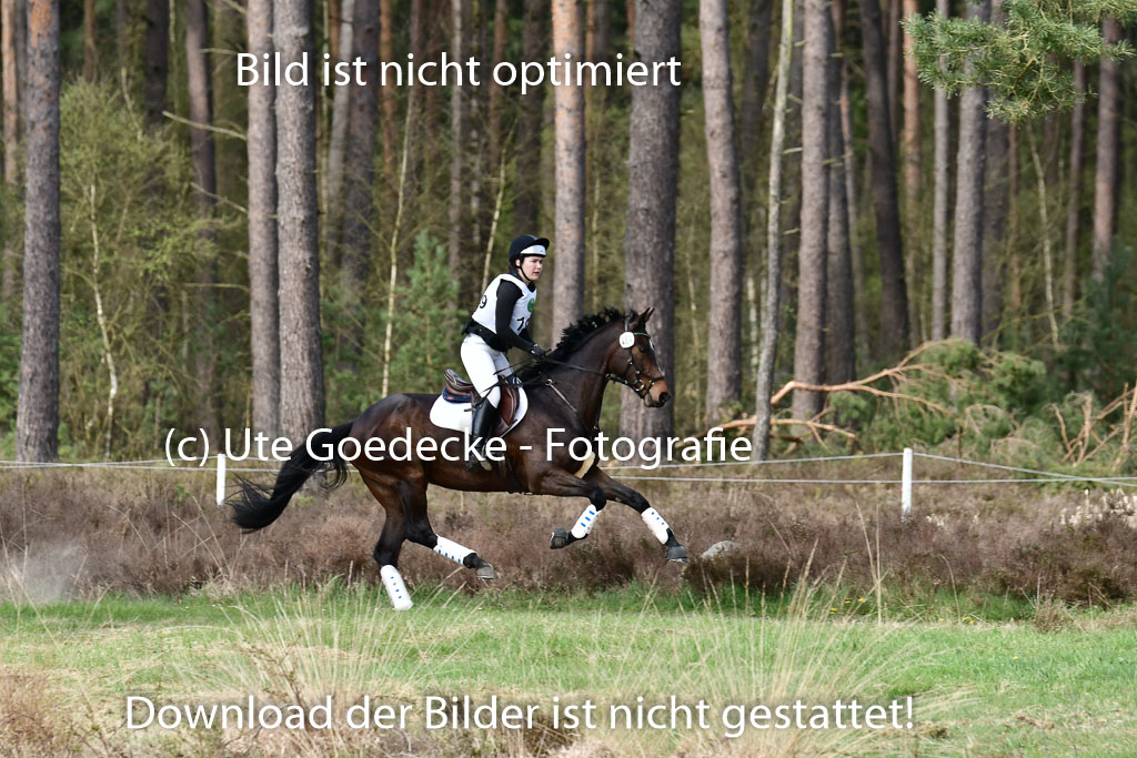 Luhmühlen VA  24.4.22 | 24-4-22 VA Luhmühlen_0924 