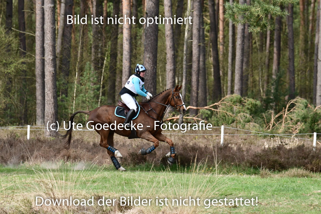 Luhmühlen VA  24.4.22 | 24-4-22 VA Luhmühlen_1009 