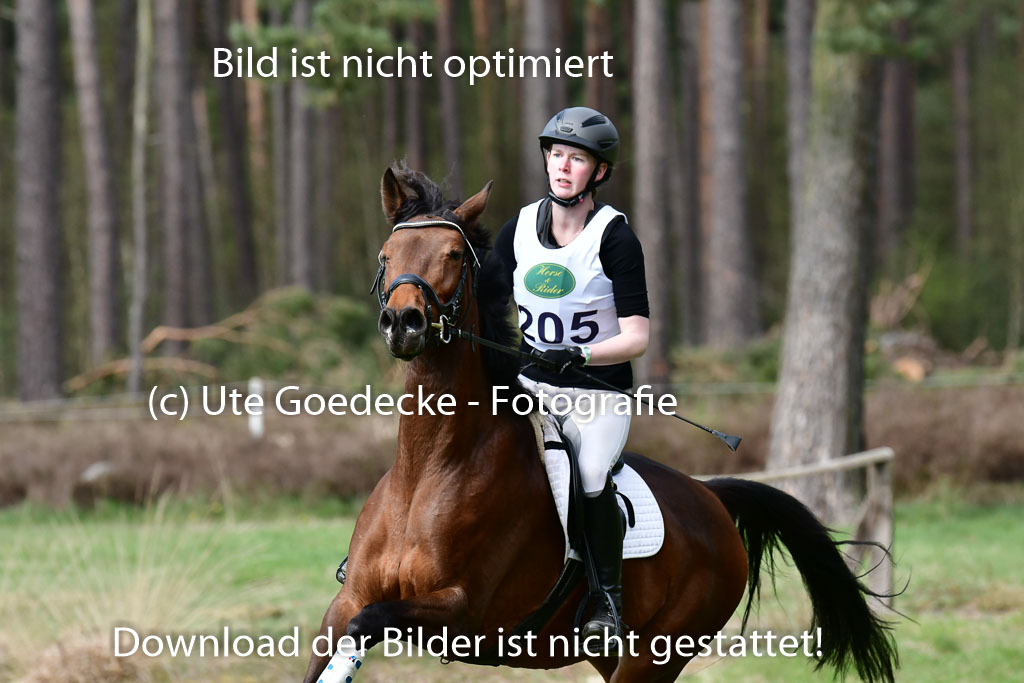 Luhmühlen VA  24.4.22 | 24-4-22 VA Luhmühlen_1030 