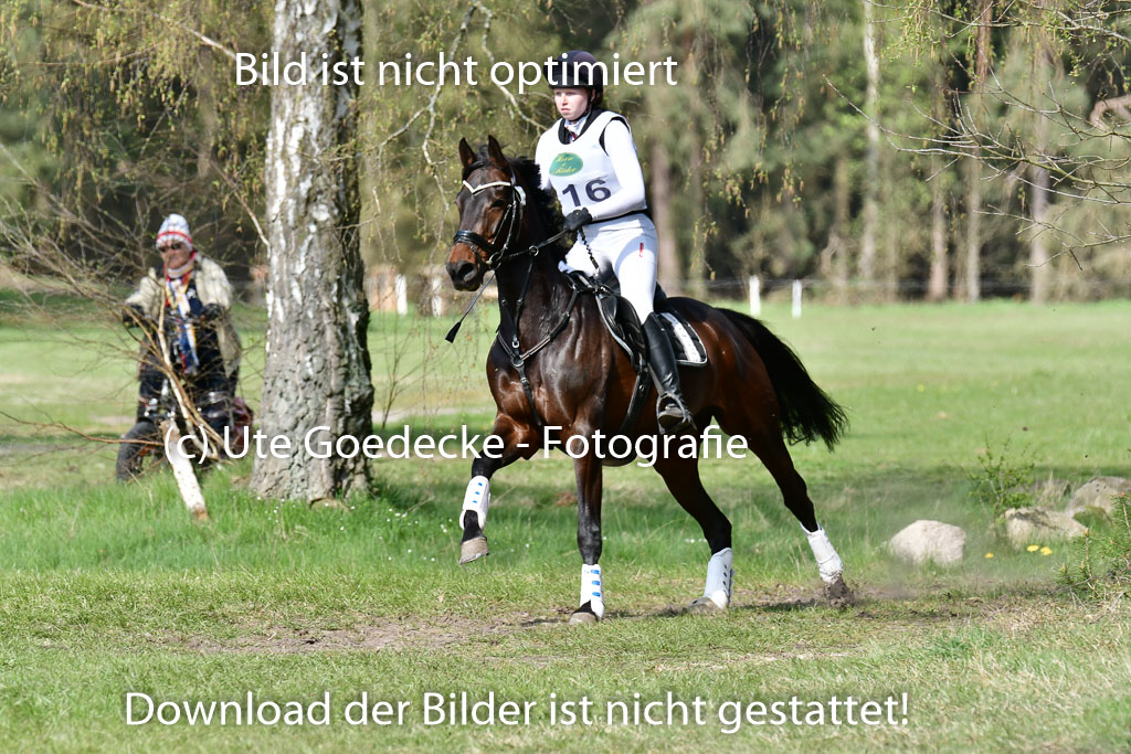 Luhmühlen VA  24.4.22 | 24-4-22 VA Luhmühlen_1143 