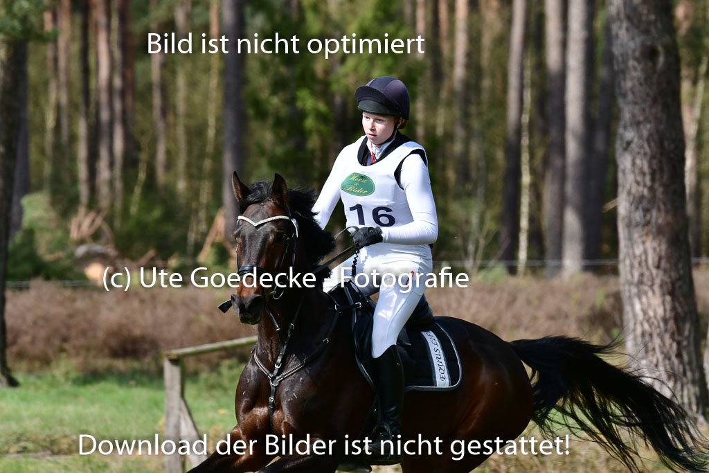 Luhmühlen VA  24.4.22 | 24-4-22 VA Luhmühlen_1148 