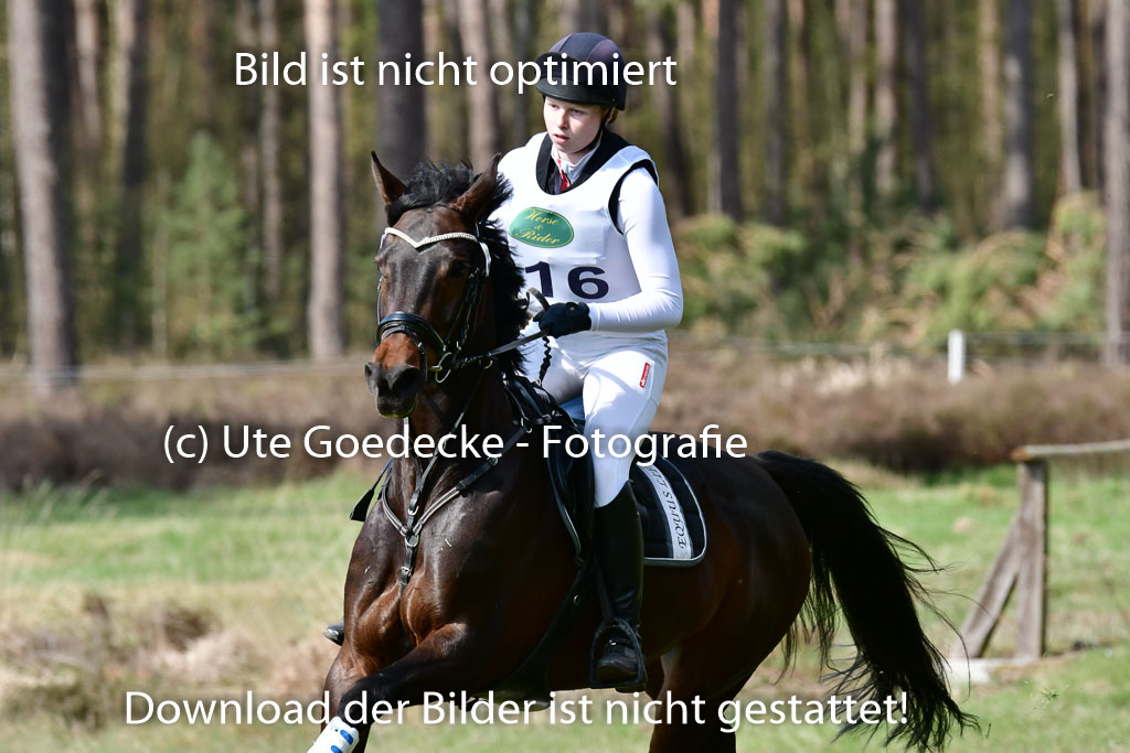 Luhmühlen VA  24.4.22 | 24-4-22 VA Luhmühlen_1150 