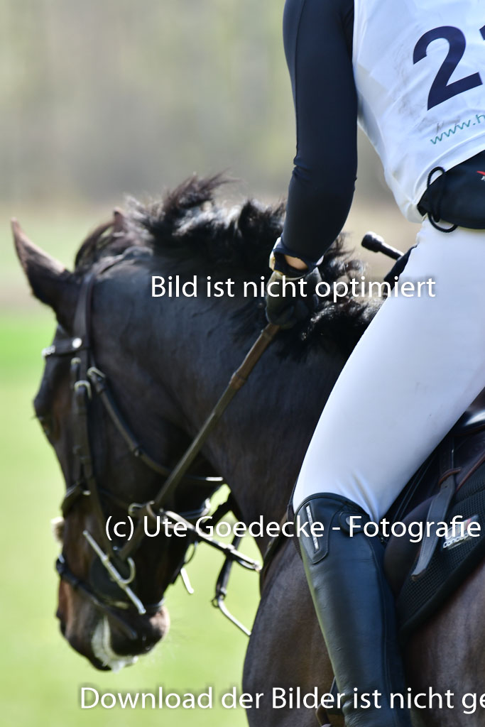 Luhmühlen VA  24.4.22 | 24-4-22 VA Luhmühlen_1176 
