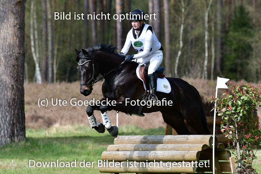 Luhmühlen VA  24.4.22 | 24-4-22 VA Luhmühlen_1182 