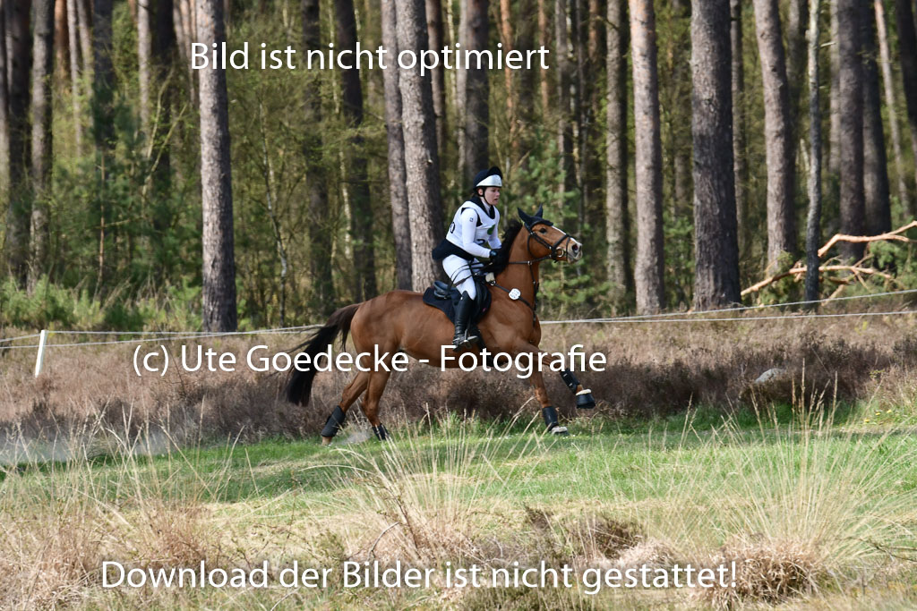 Luhmühlen VA  24.4.22 | 24-4-22 VA Luhmühlen_1209 