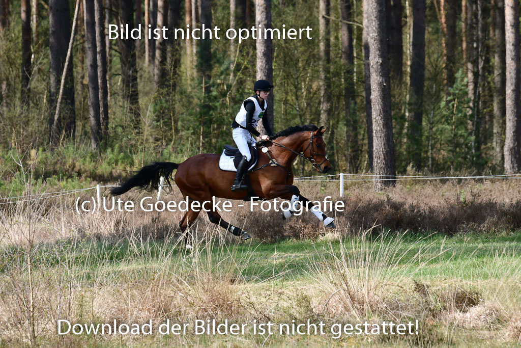 Luhmühlen VA  24.4.22 | 24-4-22 VA Luhmühlen_1344 