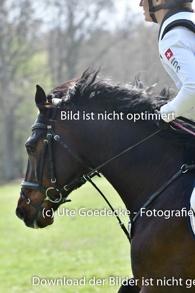 Luhmühlen VA  24.4.22 | 24-4-22 VA Luhmühlen_1370 