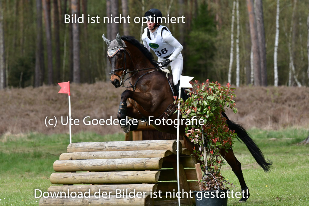 Luhmühlen VA  24.4.22 | 24-4-22 VA Luhmühlen_1452 
