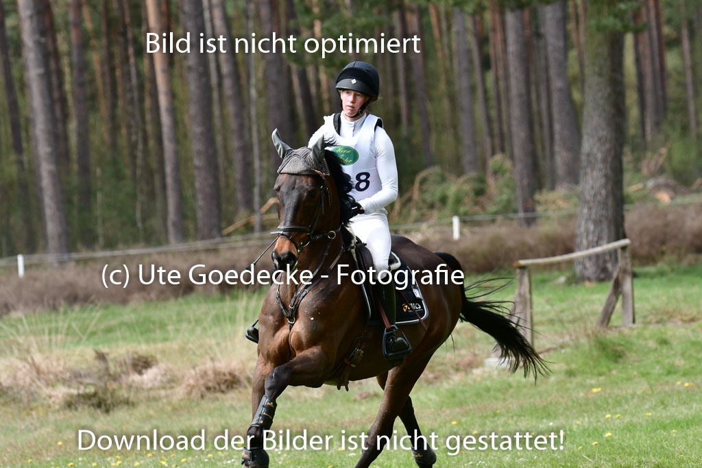 Luhmühlen VA  24.4.22 | 24-4-22 VA Luhmühlen_1457 